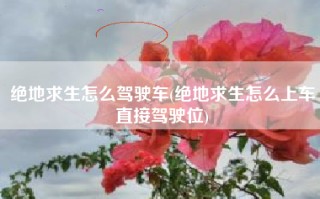绝地求生怎么驾驶车(绝地求生怎么上车直接驾驶位)