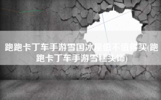 跑跑卡丁车手游雪国冰屋值不值得买(跑跑卡丁车手游雪糕头饰)