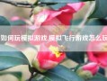 如何玩模拟游戏,模拟飞行游戏怎么玩