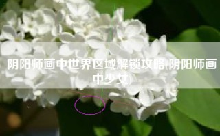 阴阳师画中世界区域解锁攻略(阴阳师画中少女)