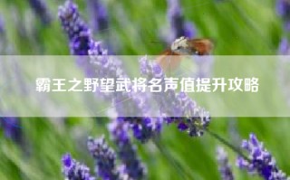 霸王之野望武将名声值提升攻略