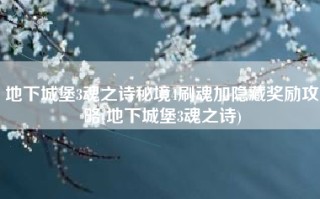 地下城堡3魂之诗秘境4刷魂加隐藏奖励攻略(地下城堡3魂之诗)