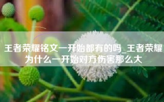 王者荣耀铭文一开始都有的吗_王者荣耀为什么一开始对方伤害那么大
