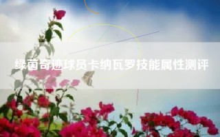 绿茵奇迹球员卡纳瓦罗技能属性测评