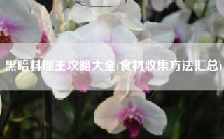 黑暗料理王攻略大全(食材收集方法汇总)