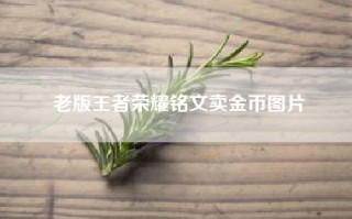老版王者荣耀铭文卖金币图片