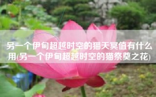 另一个伊甸超越时空的猫天冥值有什么用(另一个伊甸超越时空的猫祭奠之花)