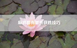 麻将都有那些获胜技巧