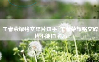 王者荣耀铭文碎片知乎_王者荣耀铭文碎片不能抽了吗