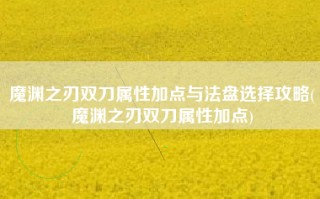 魔渊之刃双刀属性加点与法盘选择攻略(魔渊之刃双刀属性加点)