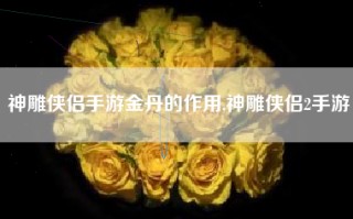 神雕侠侣手游金丹的作用,神雕侠侣2手游