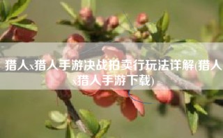 猎人x猎人手游决战拍卖行玩法详解(猎人x猎人手游下载)