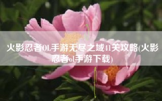 火影忍者OL手游无尽之域41关攻略(火影忍者ol手游下载)