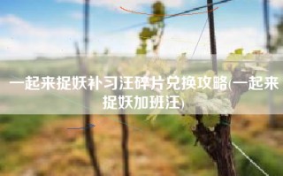 一起来捉妖补习汪碎片兑换攻略(一起来捉妖加班汪)