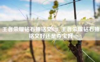 王者荣耀钻石抽铭文S28_王者荣耀钻石抽铭文好还是夺宝好
