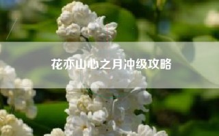 花亦山心之月冲级攻略