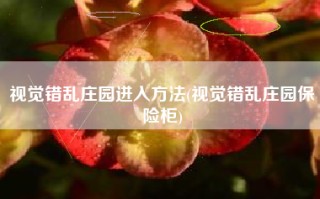 视觉错乱庄园进入方法(视觉错乱庄园保险柜)