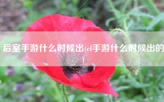 后室手游什么时候出(cf手游什么时候出的)