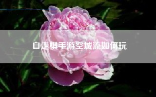 自走棋手游空城流如何玩