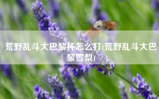 荒野乱斗大巴黎杯怎么打(荒野乱斗大巴黎雪梨)