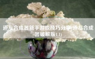 道友合成器新手游戏技巧分享(道友合成器破解版1.1)