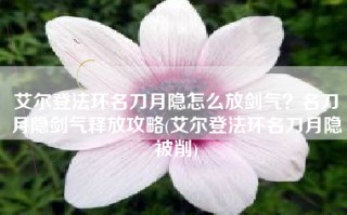 艾尔登法环名刀月隐怎么放剑气？名刀月隐剑气释放攻略(艾尔登法环名刀月隐被削)