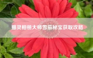 猫灵相册大师雪茄秘宝获取攻略