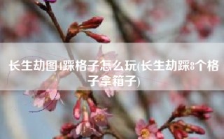 长生劫图4踩格子怎么玩(长生劫踩8个格子拿箱子)