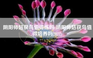 阴阳师姑获鸟值得练吗(阴阳师姑获鸟值得培养吗2022)
