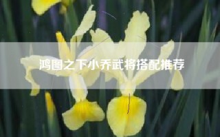 鸿图之下小乔武将搭配推荐