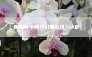 阴阳师十善修习加点推荐攻略