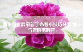 国王与冒险家新手必看小技巧分享(国王与冒险家阵容)