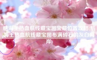 航海王热血航线藏宝图宝藏位置攻略(航海王热血航线藏宝图布满碎石的灰白海岸)