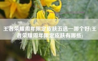 王者荣耀周年限定皮肤五选一哪个好(王者荣耀周年限定皮肤有哪些)