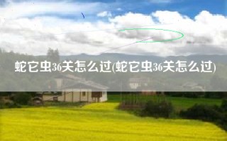 蛇它虫36关怎么过(蛇它虫36关怎么过)