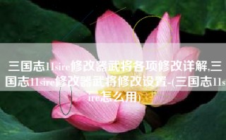 三国志11sire修改器武将各项修改详解,三国志11sire修改器武将修改设置-(三国志11sire怎么用)