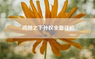 鸿图之下孙权全面评价