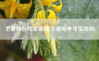 王者峡谷寻宝活动(王者纷争寻宝活动)