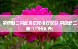 荣耀新三国武将搭配推荐攻略(荣耀新三国武将搭配表)