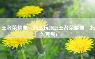 王者荣耀蒙犽怎么玩2022(王者荣耀蒙犽怎么克制)