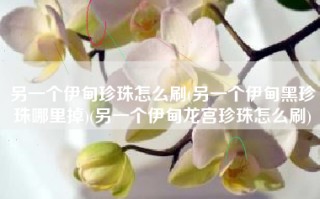 另一个伊甸珍珠怎么刷(另一个伊甸黑珍珠哪里掉)(另一个伊甸龙宫珍珠怎么刷)