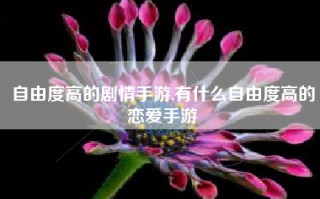 自由度高的剧情手游,有什么自由度高的恋爱手游