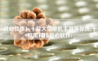 良心佳作！十款大型单机手游等你玩(十款黑科技良心软件)