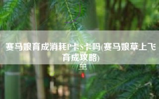 赛马娘育成消耗P卡S卡吗(赛马娘草上飞育成攻略)