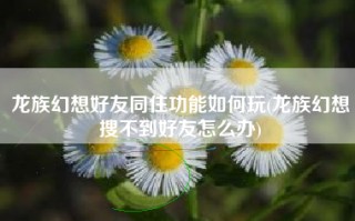 龙族幻想好友同住功能如何玩(龙族幻想搜不到好友怎么办)