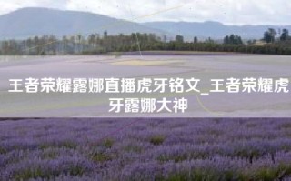 王者荣耀露娜直播虎牙铭文_王者荣耀虎牙露娜大神