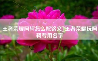 王者荣耀阿轲怎么配铭文_王者荣耀玩阿轲专用名字