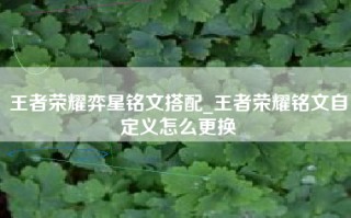 王者荣耀弈星铭文搭配_王者荣耀铭文自定义怎么更换