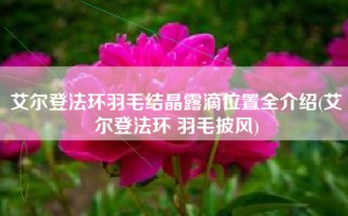 艾尔登法环羽毛结晶露滴位置全介绍(艾尔登法环 羽毛披风)