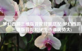 梦幻西游三维版普陀技能搭配(梦幻西游三维版普陀和化生寺谁优势大)